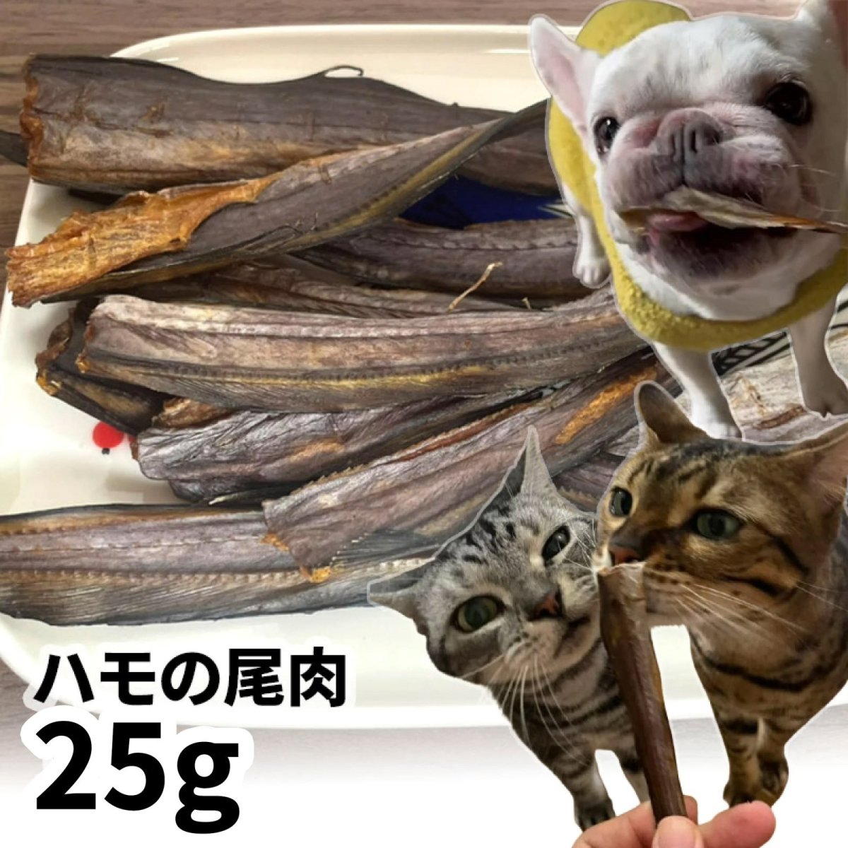 画像1: ロゴスペット 国産（兵庫県）ハモの尾肉 25g (1)