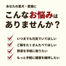 画像3: 国産200種類の醗酵野菜 いっきに200 500g (3)