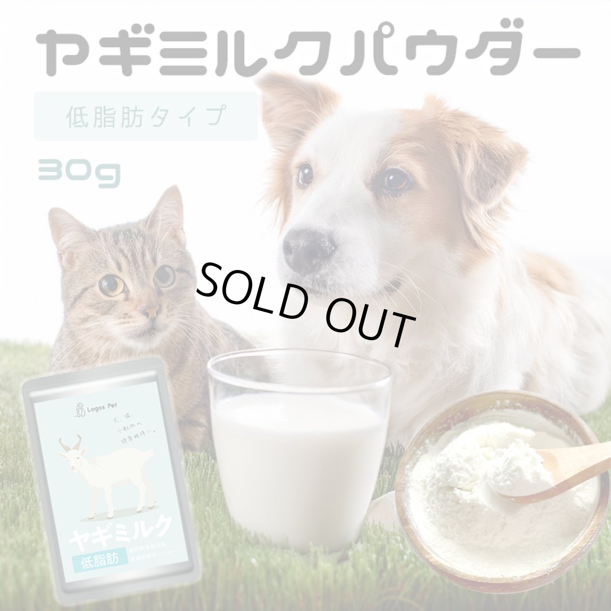 画像1: オランダ王国産 低脂肪ヤギミルクパウダー 30g (1)