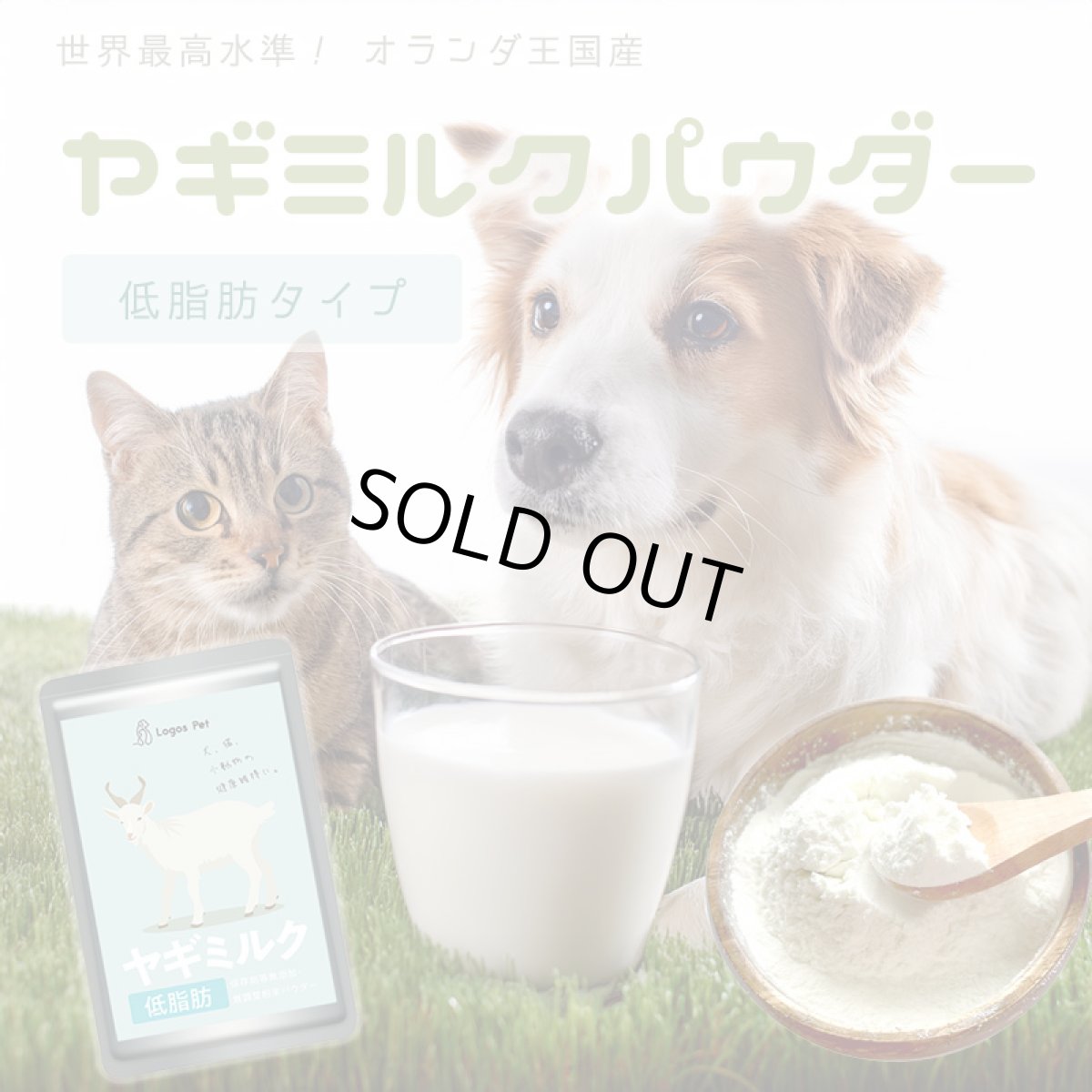 画像2: オランダ王国産 低脂肪ヤギミルクパウダー 30g (2)