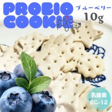 画像1: ロゴスペット 国産 プロバイオクッキー ブルーベリー 10g (1)