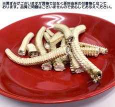 画像6: 国産 サメ軟骨ホール 小型犬用 400g (6)