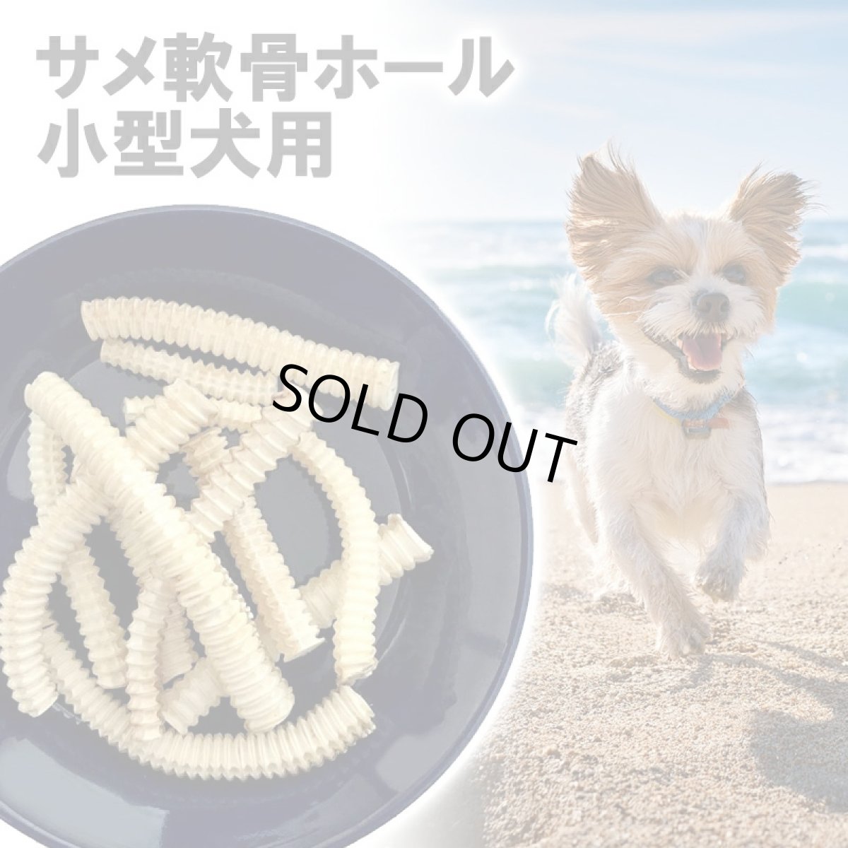画像2: 国産 サメ軟骨ホール 小型犬用 100g (2)