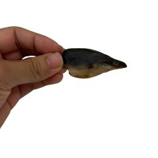 画像5: 宮崎県産 うなぎ頭 犬猫用 100g (5)