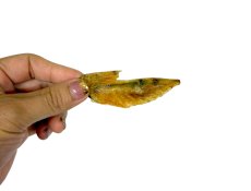 画像5: 国産（兵庫県産） 鶏手羽先 犬猫用 100g (5)