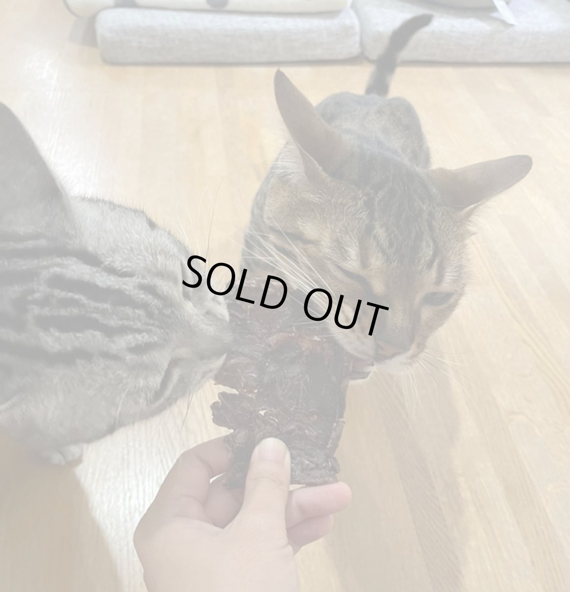 画像7: 【30%OFF】国産 骨からそいだ鹿肉ジャーキー 犬猫用 100g 「低温熟成・鹿シリーズ」  ロゴスペット (7)