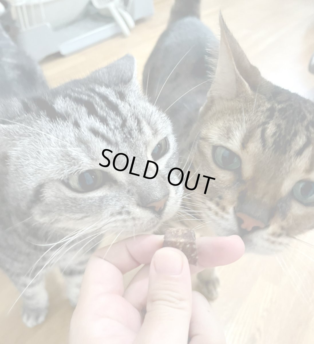 画像7: ロゴスペット 国産(岡山県産)イノシシ肉キューブ 200g (7)