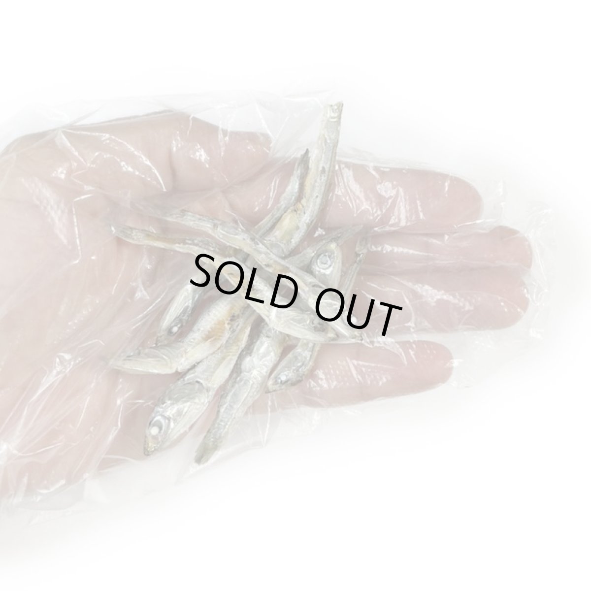 画像6: 国産 かたくちいわし  (高知県産)  無塩煮干し 犬猫用 30g  (6)