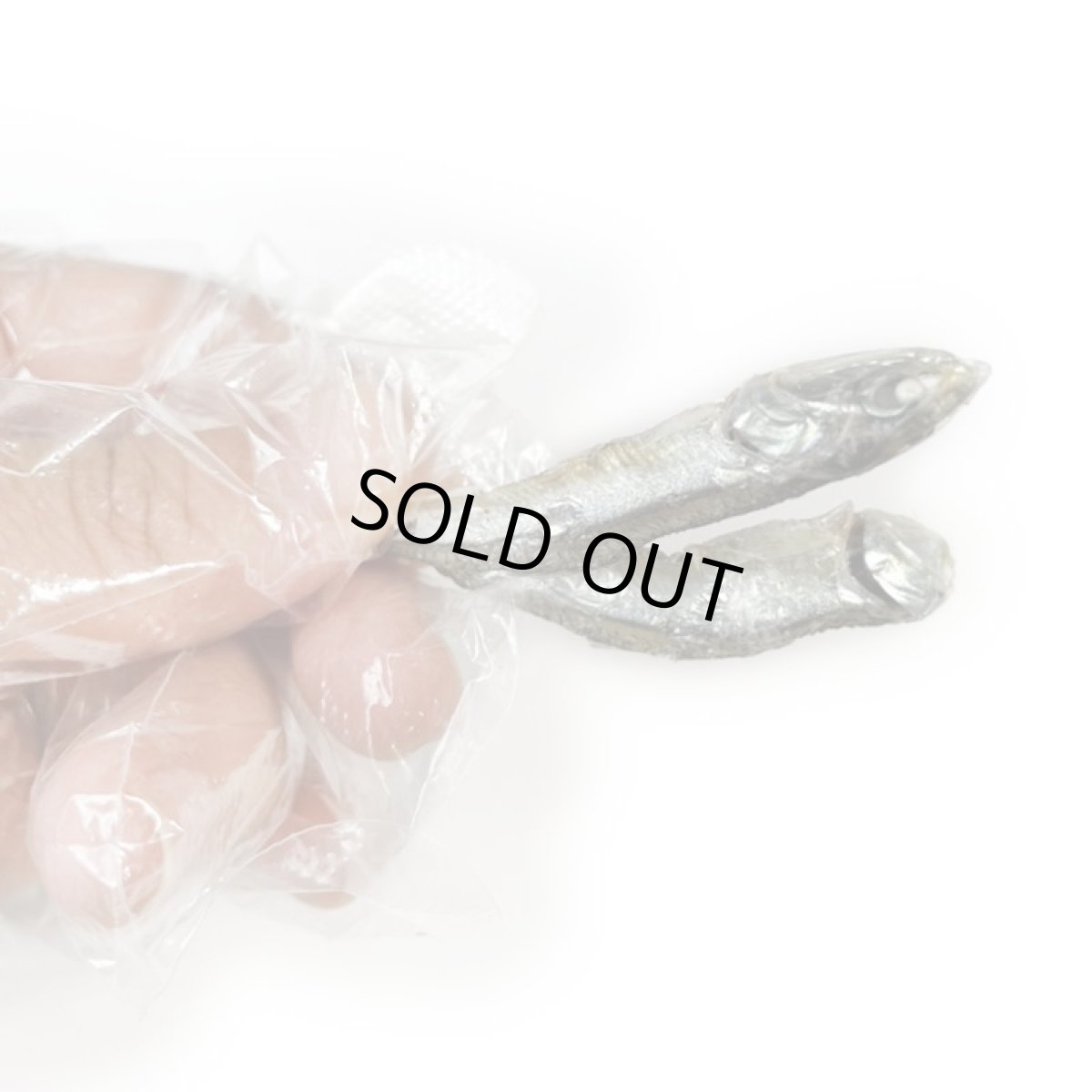 画像7: 国産 かたくちいわし  (高知県産)  無塩煮干し 犬猫用 30g  (7)