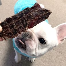 画像7: ロゴスペット 豪州産（オーストラリア産） カンガルージャーキー 犬猫用 100g (7)