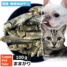 画像1: 国産 ままかり (鳥取県産) 無塩煮干し 犬猫用 100g (1)