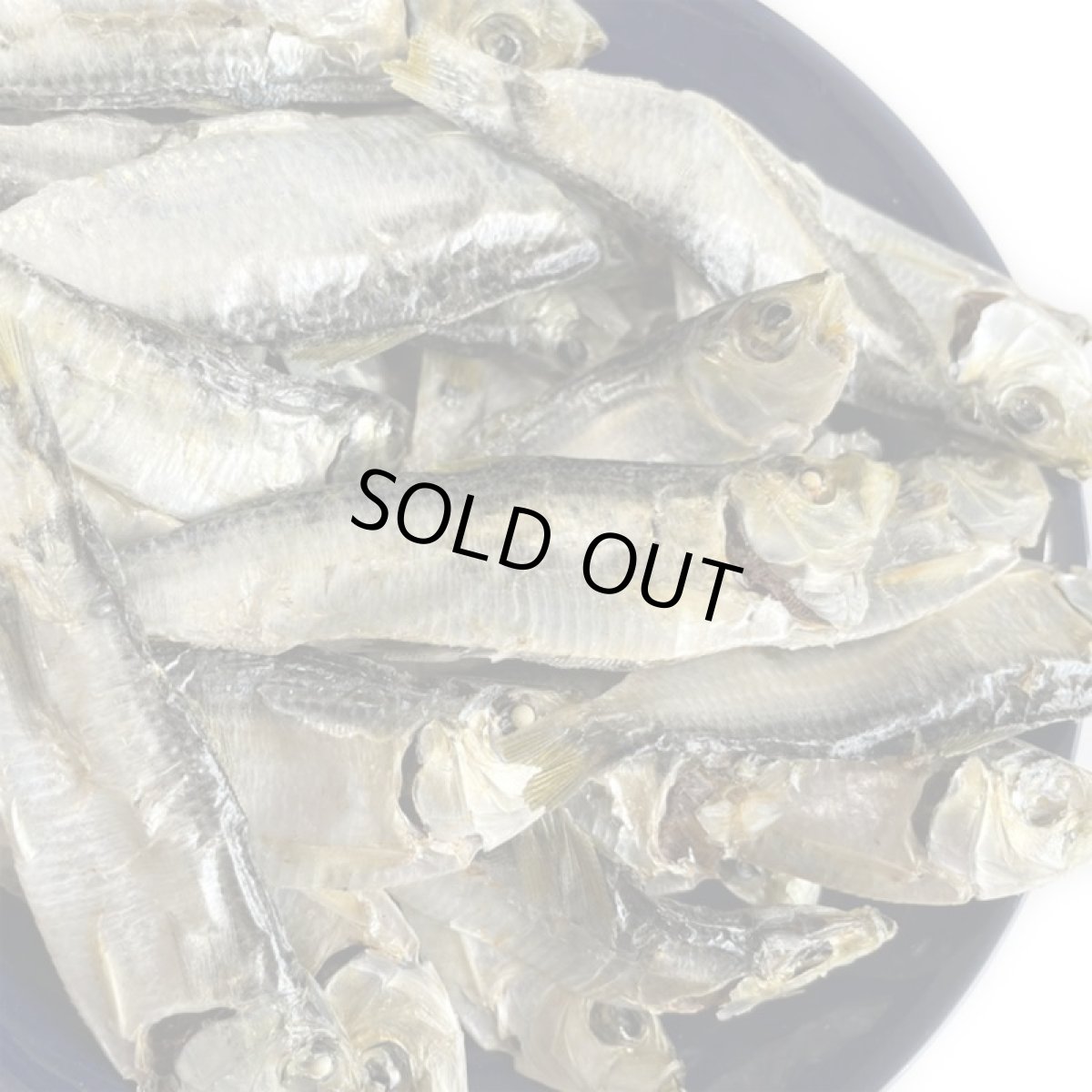 画像5: 国産 ままかり (鳥取県産) 無塩煮干し 犬猫用 100g (5)