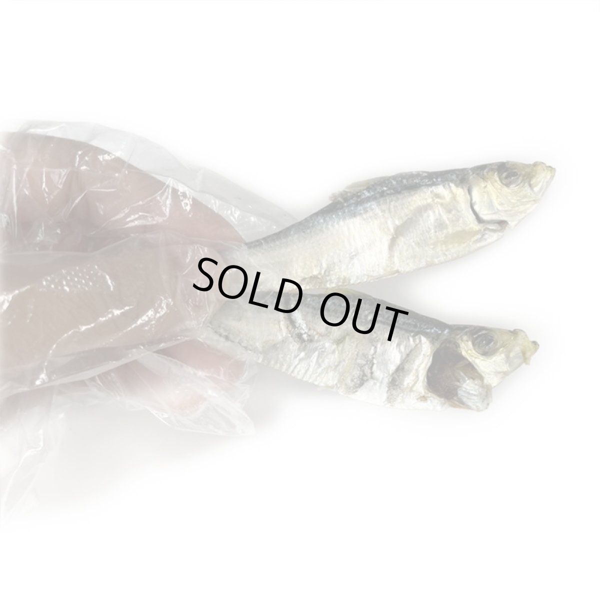 画像7: 国産 ままかり (鳥取県産) 無塩煮干し 犬猫用 100g (7)