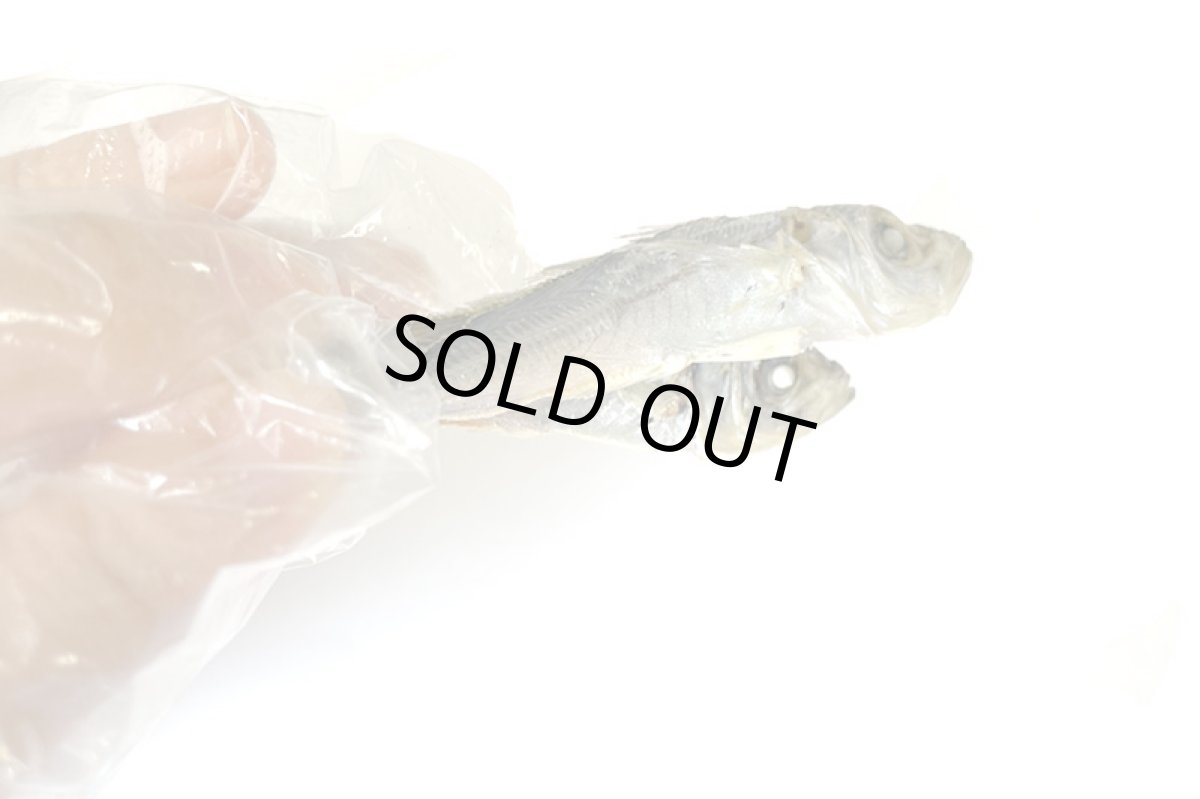 画像6: 鳥取県産 豆アジ煮干し 犬猫用 30g (6)