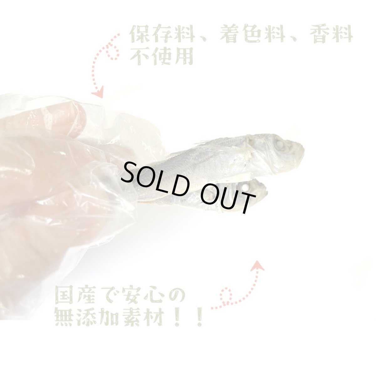 画像9: 鳥取県産 豆アジ煮干し 犬猫用 30g (9)