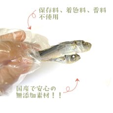 画像9: 鳥取県産 豆アジ煮干し 犬猫用 100g (9)