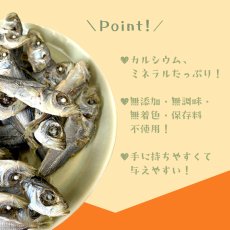 画像10: 鳥取県産 豆アジ煮干し 犬猫用 100g (10)