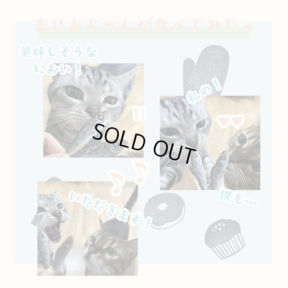 画像11: 鳥取県産 豆アジ煮干し 犬猫用 30g (11)