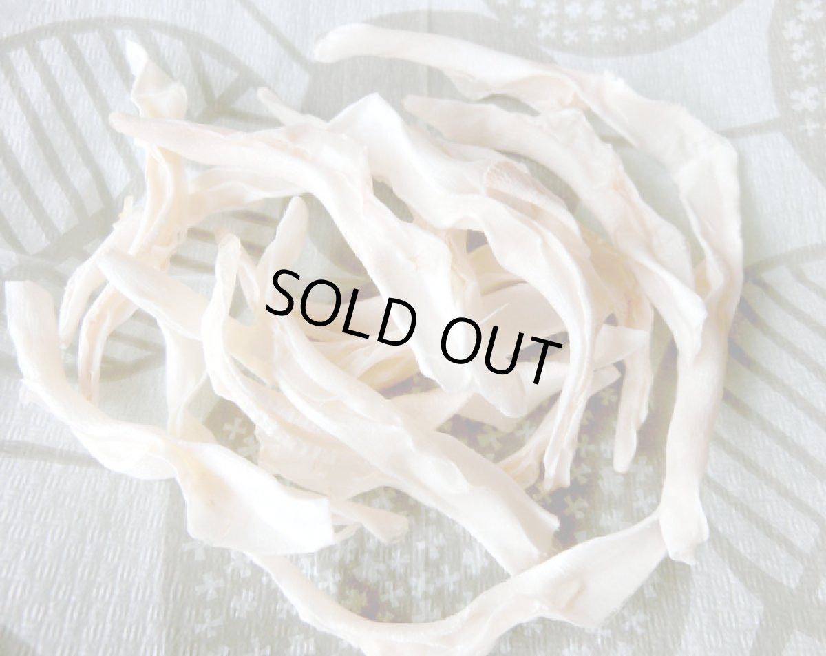 画像2: 国産 サメムネ軟骨 20g (2)