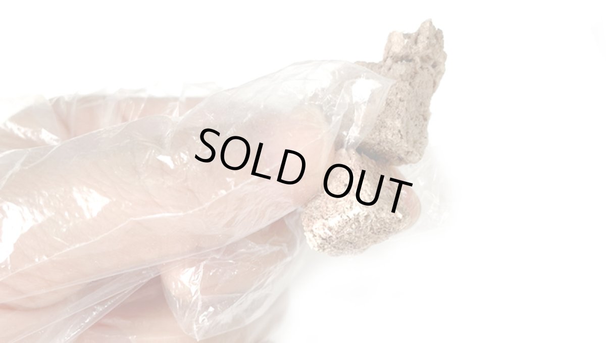 画像6: 国産 鹿肉フリーズドライ FD 角切り 200g（100g×2個） 「低温熟成・鹿シリーズ」 ロゴスペット (6)