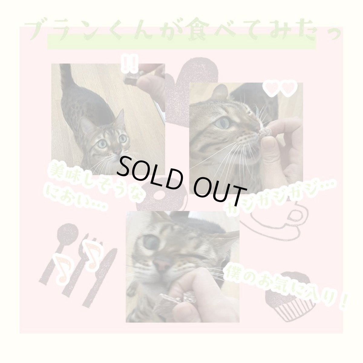 画像11: 国産 鹿肉フリーズドライ FD 角切り 200g（100g×2個） 「低温熟成・鹿シリーズ」 ロゴスペット (11)