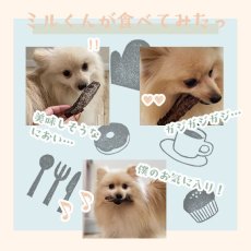 画像11: 「低温熟成・鹿シリーズ」 国産（兵庫県丹波産）鹿スペアリブ・ロング 犬用 100g ロゴスペット (11)