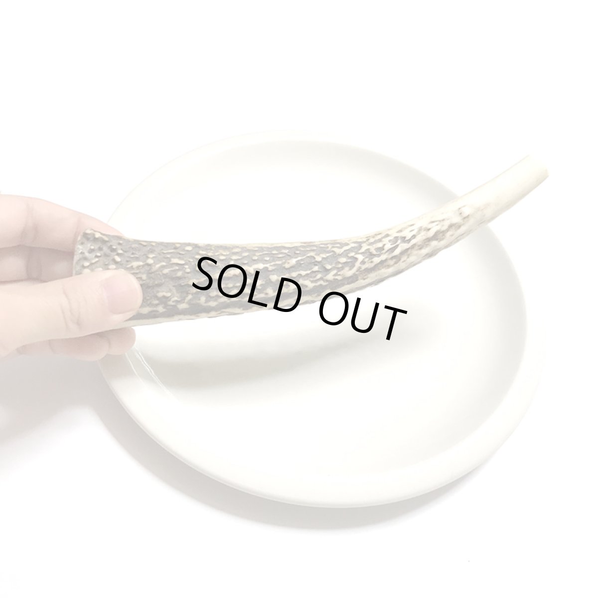 画像4: ロゴスペット 国産 鹿の角 犬用 Sサイズ (4)