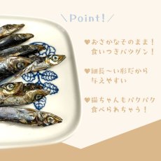 画像10: 【20％OFF】高知県産 減塩うるめ丸干し 犬猫用 30g ロゴスペット (10)