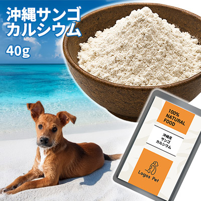 国産（沖縄産）サンゴカルシウム 40g