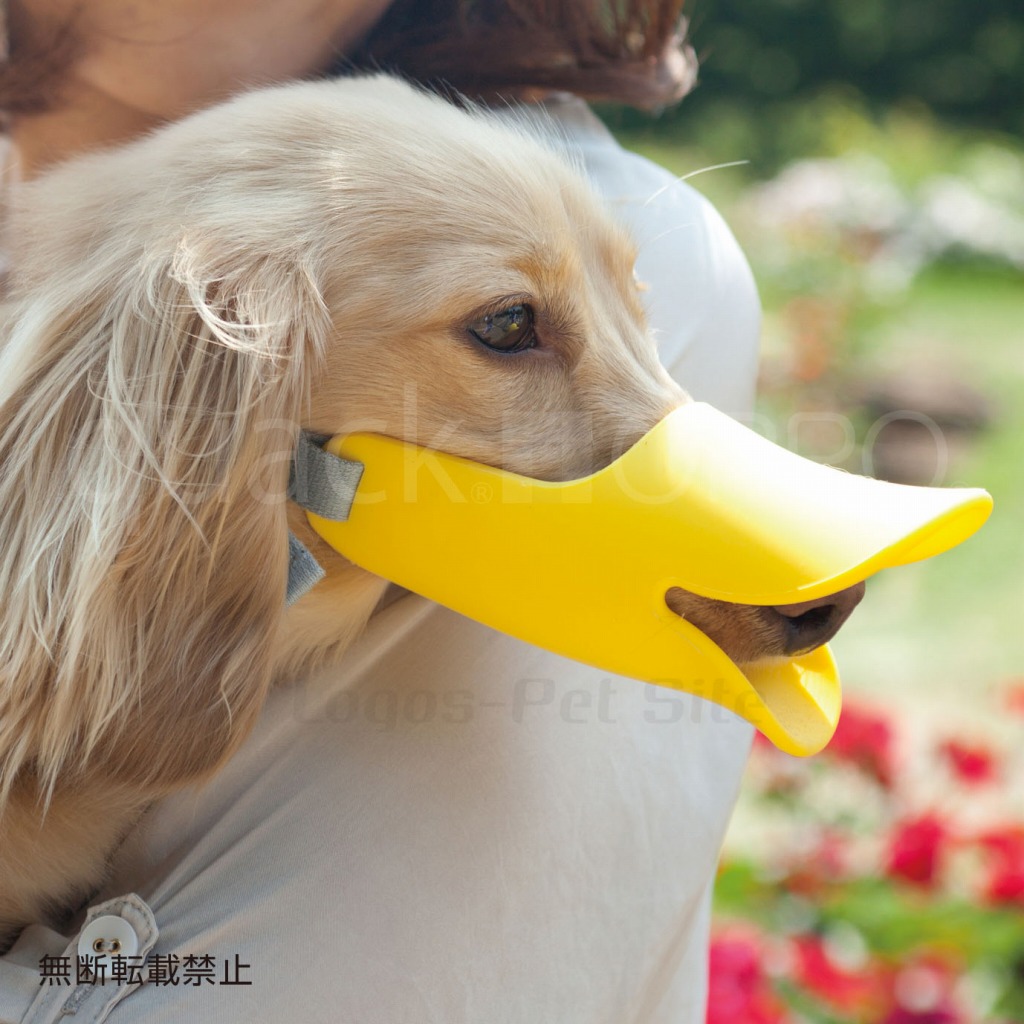 ロゴスペットサイト 犬用口輪をお探しなら Oppo オッポ Quack クアック 口輪 犬用 Mサイズ イエロー ピンク ブラウン ロゴスペットサイト 犬用口輪をお探しなら Oppo オッポ Quack クアック 口輪 犬用 Mサイズ イエロー ピンク ブラウン