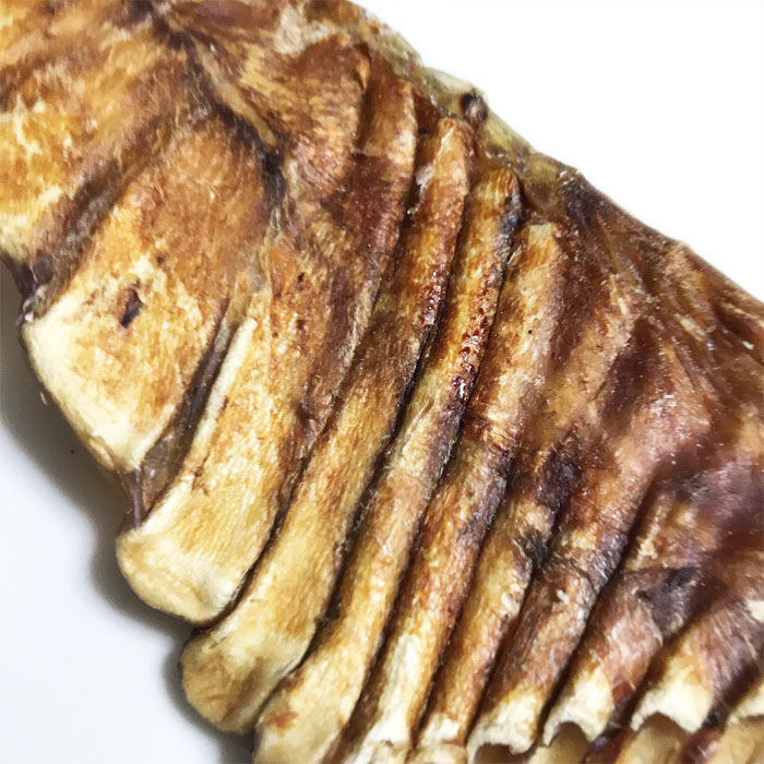 ロゴスペットサイトロゴスペット 国産 モウカザメ 毛鹿 フカヒレ 姿 犬用 100g