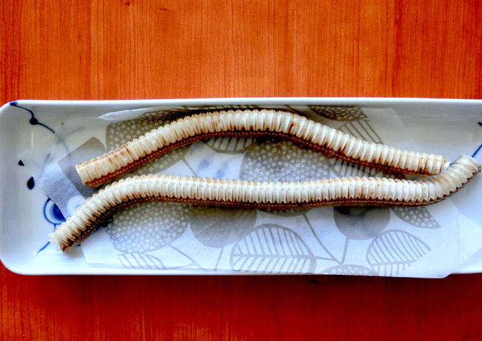 画像2: ヨシキリザメ軟骨ホール中大型犬　100g (2)